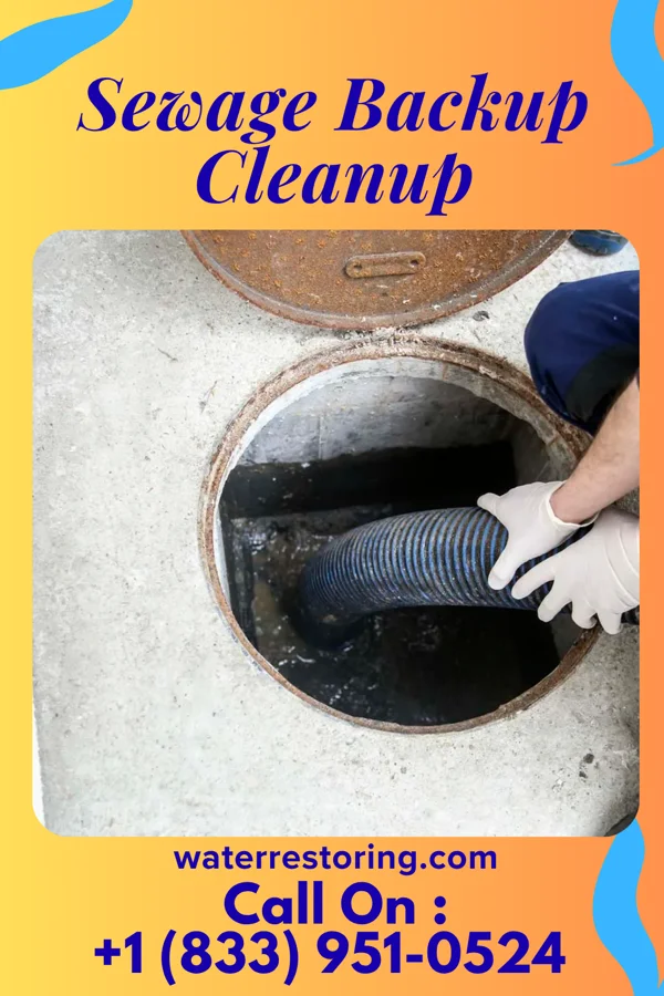 Sewage Backup Cleanup in Horace, ND