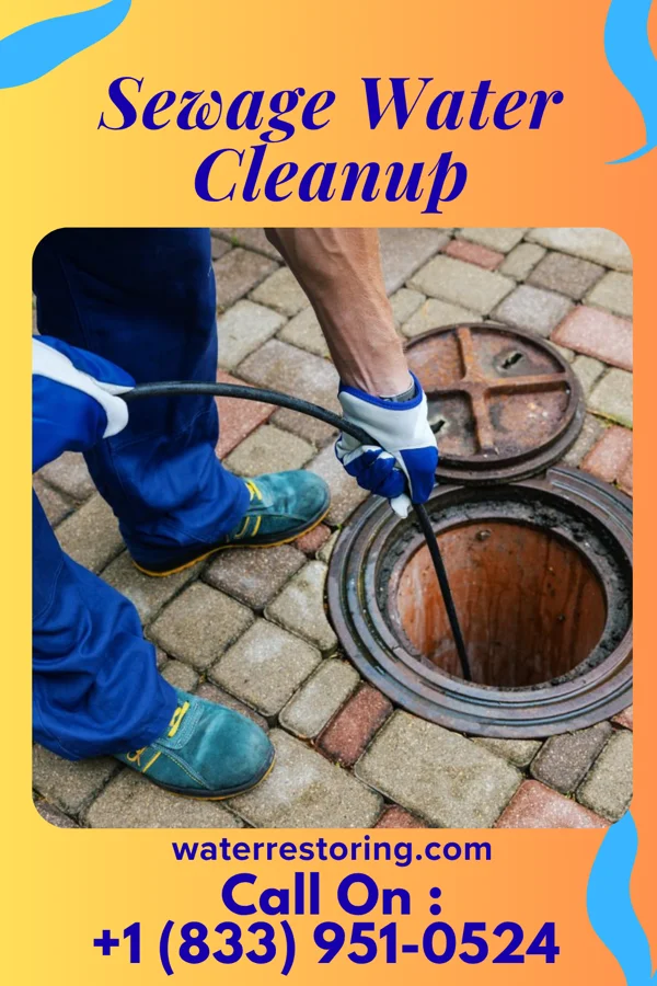 Sewage Water Cleanup in Horace, ND
